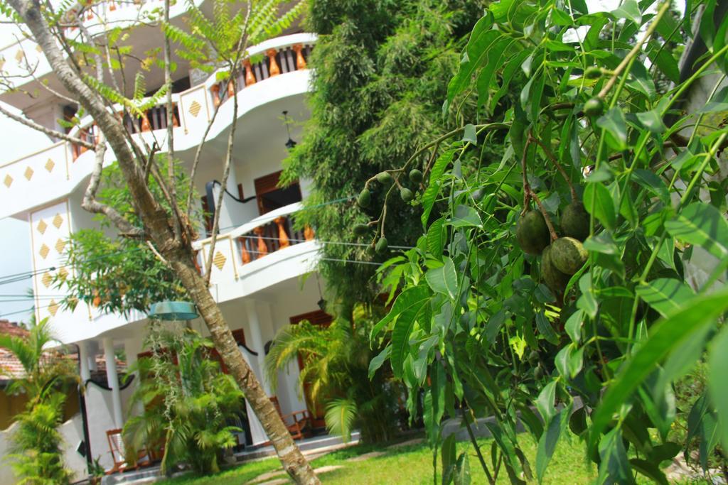 Orchid Rest Mirissa Exterior foto