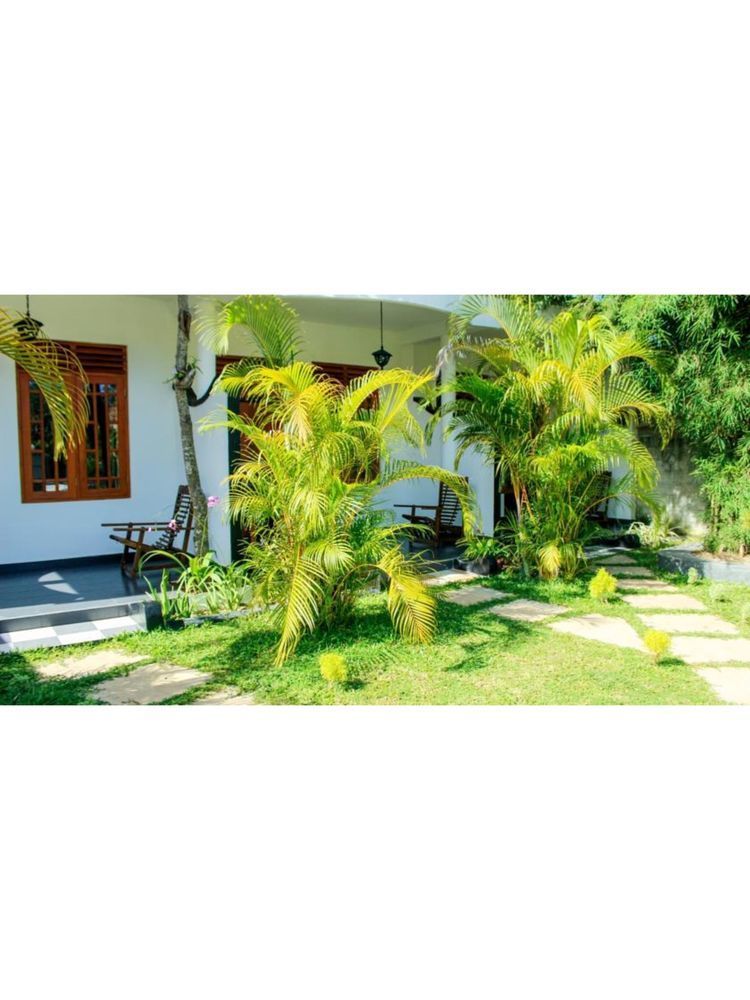 Orchid Rest Mirissa Exterior foto